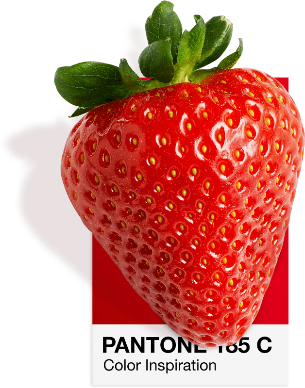 Φράουλα σε έγχρωμη κάρτα Pantone 185 C, το κόκκινο Vatra